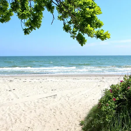 Rex Rugia Haus 17 07 Appartement *